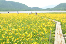 浄土平―鎌沼―姥ヶ原―浄土平