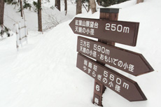 湖畔の森・雪のロイヤルウォーキング